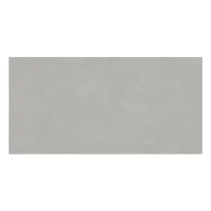 Sentry Matt Grey Concrete Effect Porcelain Wall & Floor Tile - Pack of 72 Tiles, 51m² - (L)1200x(W)600mm