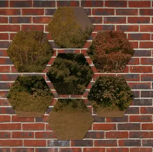 Primrose Set of 7 Acrylic Non Shatter Outdoor Wall Mounted Hexagonal Bronze Garden Illusion Mirror 30cm