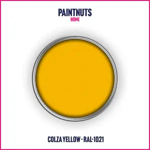 PaintNuts UPVC Door & Window Satin Paint - Colza Yellow - 500ml Tin (RAL1021)