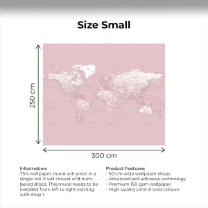 Pink World Map Wallpaper Mural - Peel & Stick Wallpaper - Size Small (300 x 250 cm)