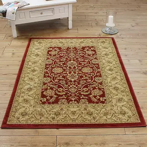 Traditional Floral Graphics Easy to clean Rug for Dining Room -240cm X 340cm