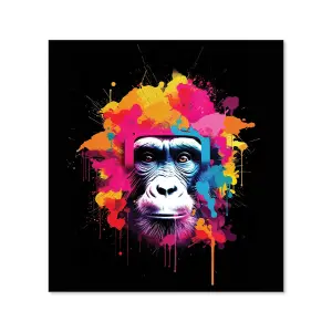 Multi Coloured Monkey Face Premium Glass Kitchen Splashback W600mm x H600mm