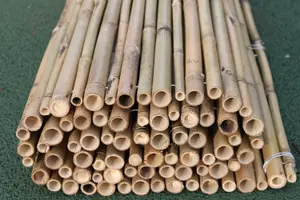 Heavy Duty Bamboo Garden Screening Fencing Rolls 1.8M Tall and 2M Long -Thick 25-28mm Bamboo Canes