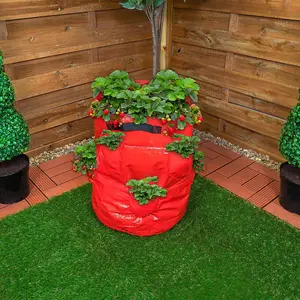 Strawberry Planter Grow Bag - Indoor or Outdoor Extra Deep Planting Bag with Handles & Side Pockets - H45 x 35cm Dia, 43L Capacity