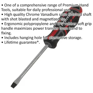 Premium Slotted Screwdriver 6 x 100mm with Ergonomic Grip and Magnetic Tip