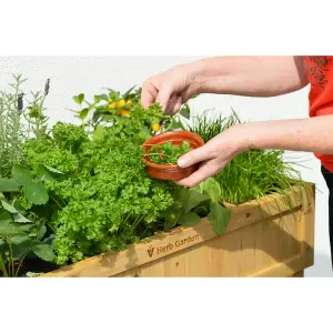 VegTrug Raised Garden Bed Planter - Herb Garden - Natural