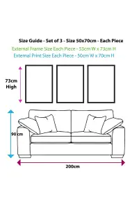 Set of 3 Sketch Art Peonies on Grey Wall Art Prints / 50x70cm / Black Frame