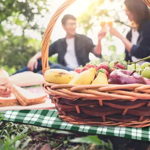 Polyester Picnic Blanket