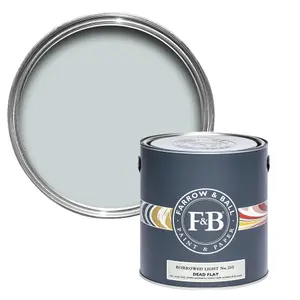 Farrow & Ball Dead Flat Mixed Colour 235 Borrowed Light 2.5 Litre