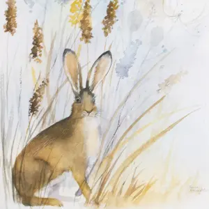 Laura Ashley Country Hare Watercolour Natural Framed print (H)40cm x (W)30cm