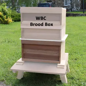 WBC Brood Box in Cedar for WBC Beehive 74755