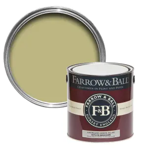 Farrow & Ball Estate Emulsion Mixed Colour 251 Churlish Green 5 Litre