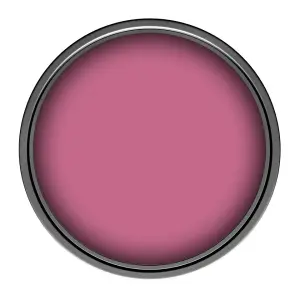 Leyland Trade Vinyl Matt Walls & Ceilings Emulsion Paint Paris Pink (PPG1181-6) 350ml Tester