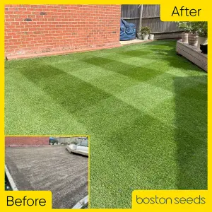 Boston Seeds BS Quality Fine Lawn Seed (1 x 20kg)