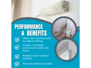 SmartSeal - Anti Mould Paint - Mountain Stone (2.5L) For Bathroom, Kitchen and Bedroom Walls & Ceilings -Protection Against Mould