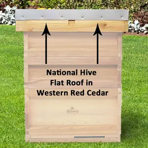 National Beehive Flat Roof Made From Cedar