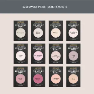 Rust-Oleum Pink Gloss Furniture Paint Tester Samples - 10ml