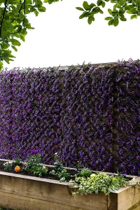 Vivid Violet Topiary Trellis 180 x 90cm Artificial Leaf Trellis Garden Screen