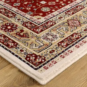 Traditional Persian Bordered Floral Cream Geometric Wool Rug for Living Room and Bedroom-80cm X 150cm