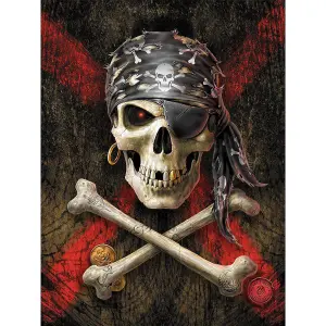 Anne Stokes Pirate Skull Canvas Print Black/Red/White (80cm x 60cm)