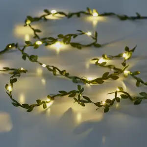 20 Warm white LED With timer function String lights with 2.2m Green cable