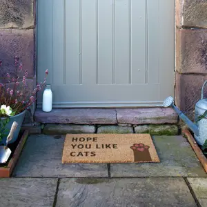 Hope You Like Cats Doormat (60 x 40cm)