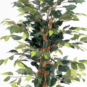 Blooming Artificial - 120cm / 4ft Fake Ficus Tree