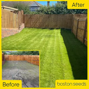 Boston Seeds BS Economy Grass Seed (25 x 20kg)