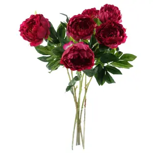 Pack of 6 x 80cm Artificial Dark Pink Peony Stem