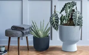 Plant Pots Flower Planter 7 Colours 3 sizes Tall Wavy Plastic Pot Boho Elegant Grey 40cm - 37L