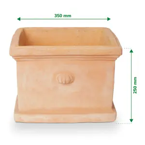 Verve Matt White washed White washed Terracotta Plant pot (Dia) 35cm, (H)25cm, 30L