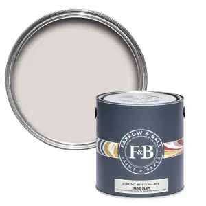 Farrow & Ball Dead Flat Mixed Colour 2001 Strong White 2.5 Litre