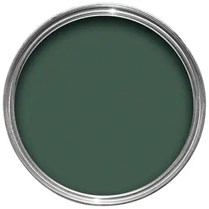 Dulux Weathershield Heathland green Satinwood Exterior Metal & wood paint, 750ml