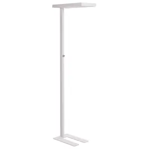 Metal LED Office Floor Lamp White TAURUS