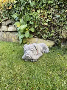 Lying Bulldog Small Garden Ornament