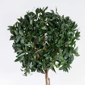 Blooming Artificial - 150cm / 5ft Artificial Bay Laurel Tree (Pair) Topiary