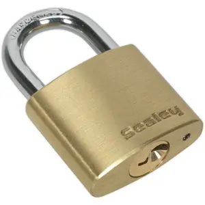 Durable 30mm Brass Padlock with 5mm Steel Shackle and 3 Keys for Enhanced Security