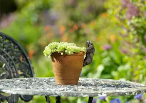 Antique Bronze Coloured Cavalier King Charles Spaniel Pot Buddy Plant Pot Hanger