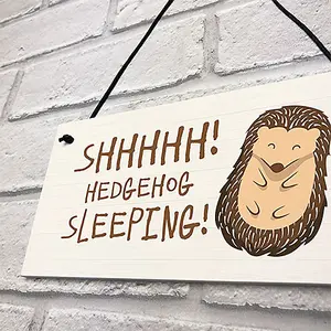 Funny Hedgehog Sign Garden Plaques Hedgehog Sleeping Outdoor Sign Family Gift