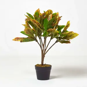 Homescapes Green 'Rushfoil' Artificial Croton Plant with Pot, 65 cm