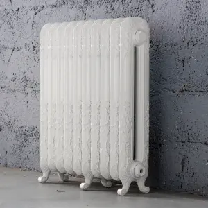 Arroll Daisy Cast iron White 12 Column Radiator, (W)814mm x (H)794mm