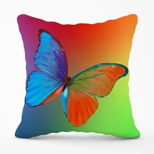 Vibrant Butterfly Cushions 60cm x 60cm