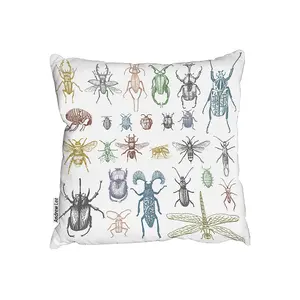 Big Set Of Insects Bugs Beetles And Bees Many Species In Vintage Old Hand Drawn Style (Outdoor Cushion) / 60cm x 60cm