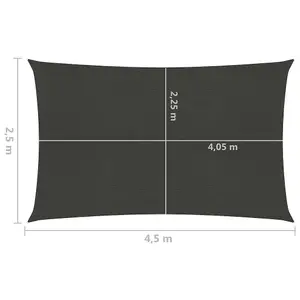 Berkfield Sunshade Sail 160 g/m2 Anthracite 2.5x4.5 m HDPE