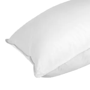 Homescapes Super Microfibre Surround Pillow