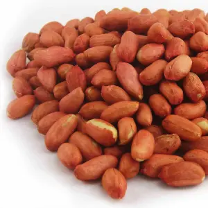 Whole Peanuts Wild Bird Food (10kg)