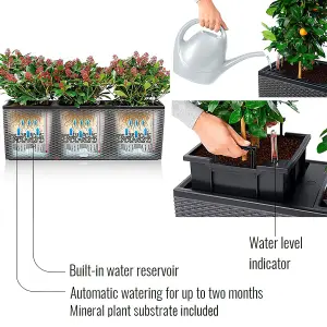 LECHUZA TRIO Cottage 40 Granite Self-watering Planter Plant Pot with Water Level Indicator H44 L130 W42 cm, 3x31L