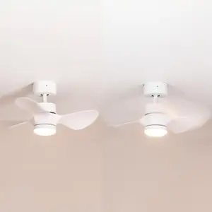 Cayleeann 24cm Ceiling Fan with LED Lights White