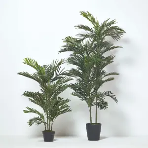 Homescapes Areca Palm Tree in Pot, 120 cm Tall