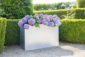 Primrose Garden Zinc Tall Trough Planter with Insert Silver 95cm